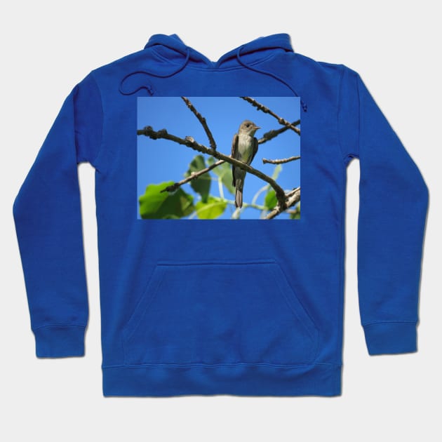 Eastern Wood-Pewee No.2 Hoodie by MaryLinH